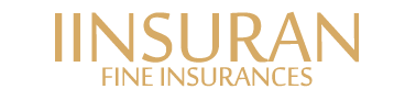 IINSURAN+ INSURAN  - China AAA Life Insurance manufacturer prices